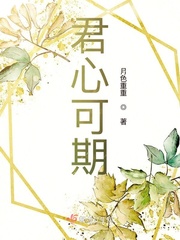 君心可鉴是什么意思