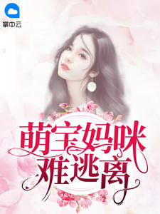 女主苏浅安男主叶昱城免费阅读