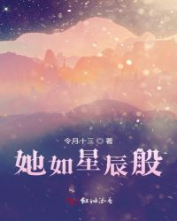 他如星辰闪烁小说免费阅读
