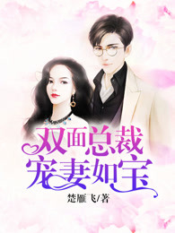 雁飞长空小说