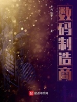 数码产品公司