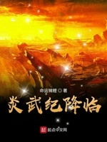 炎武led