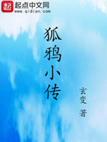 鸦狐阅读理解答案