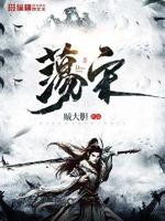 荡宋小说全集免费阅读下载