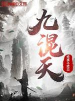 九天混元决小说