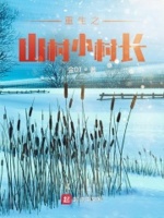 重生之山村传奇txt