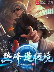 登峰造极之上的境界