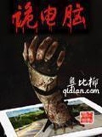 诡电脑讲的什么
