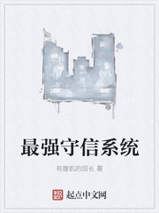 最强守护灵小说