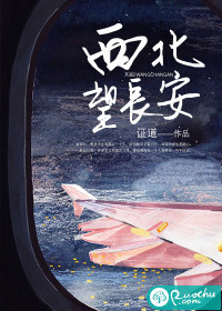 西北望长安上一句