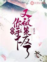 将军又被弄哭了简介