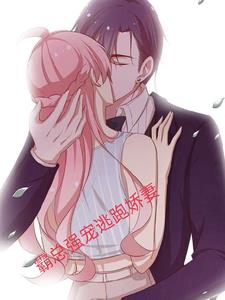 霸总小逃妻txt