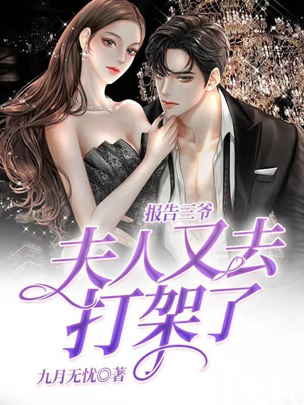 夫人又去打架了小说全文免费阅读