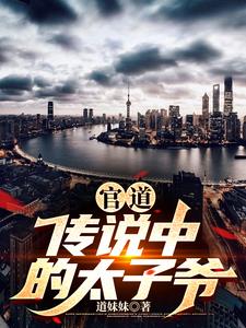 太子类官场小说