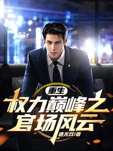 官场小说权力巅峰