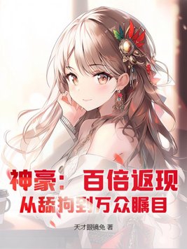 神豪从百倍返利开始卡夜阁