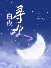白夜追凶之白夜追凶