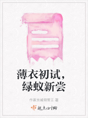 薄衣是什么东西