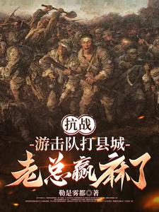 独自抗日小说