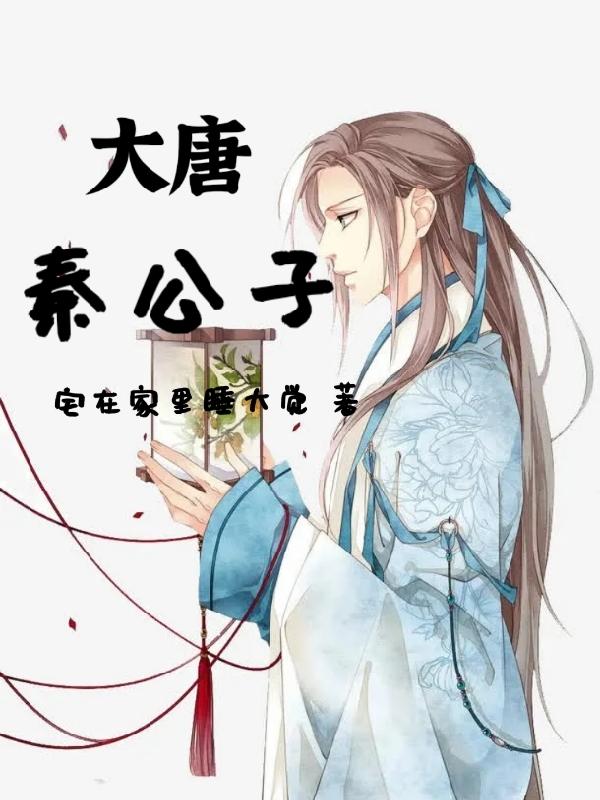 大唐秦治小说