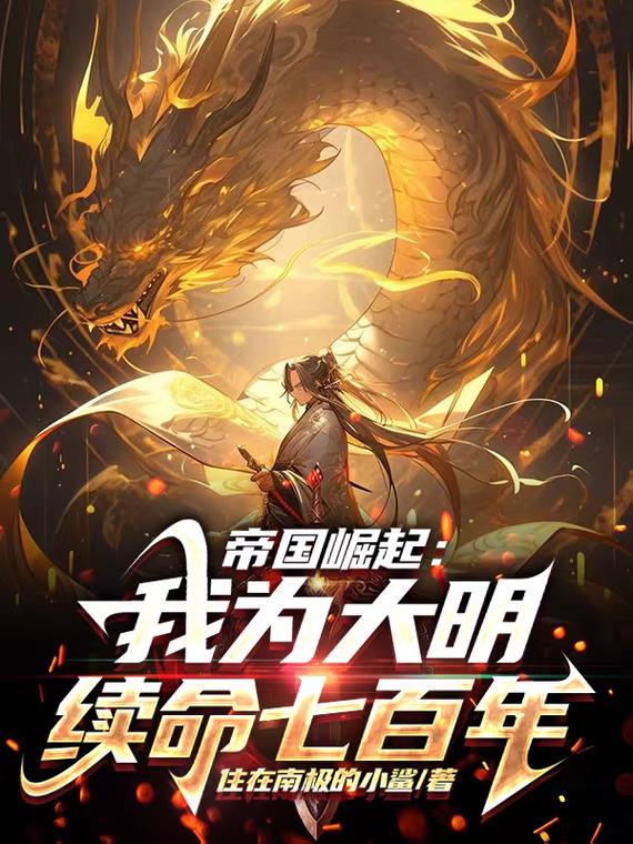 大明之帝国再起 小说
