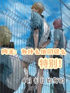 网王冰帝为尊的小说