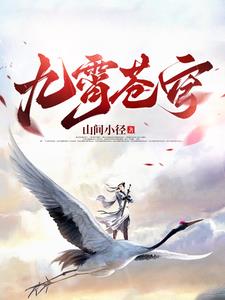 九霄苍穹小说免费下载