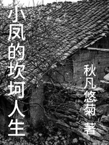 小凤(下)