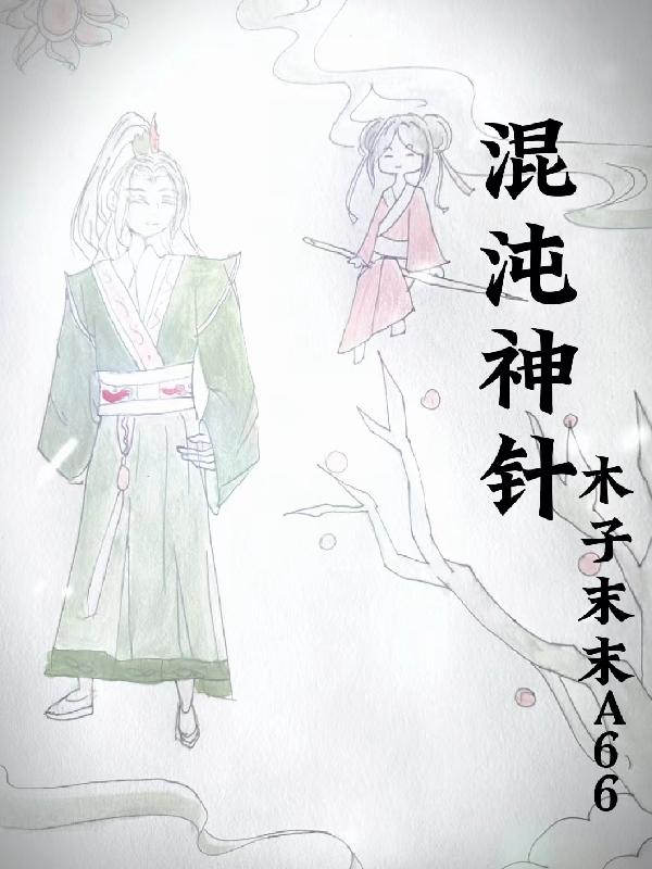混沌神针书旗网
