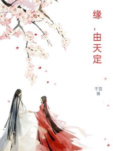 缘分由天定电视剧