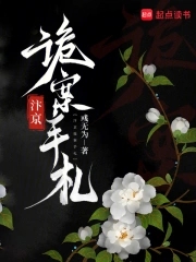 汴京诡案手札小说