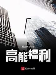 高能福利小说txt免费