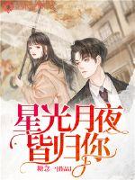 星光月夜皆归你出自哪里