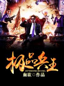 极品兵王顶点小说