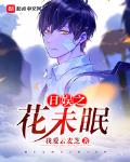 日娱之花未眠小说免费阅读无弹窗