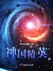 神国统领 小说